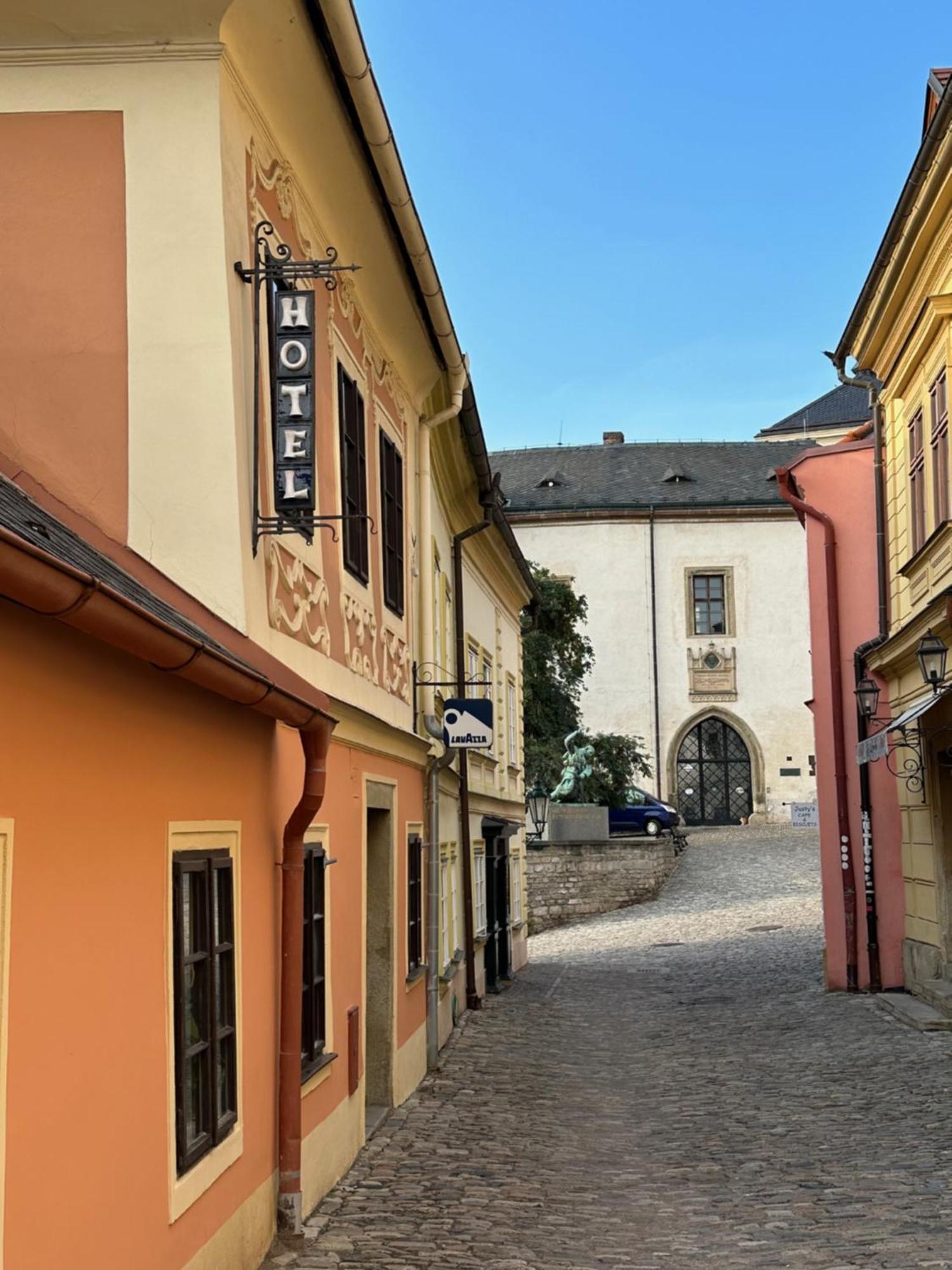 Penzion Hrncir Kutná Hora Buitenkant foto